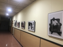 Miradas desde las sombras2